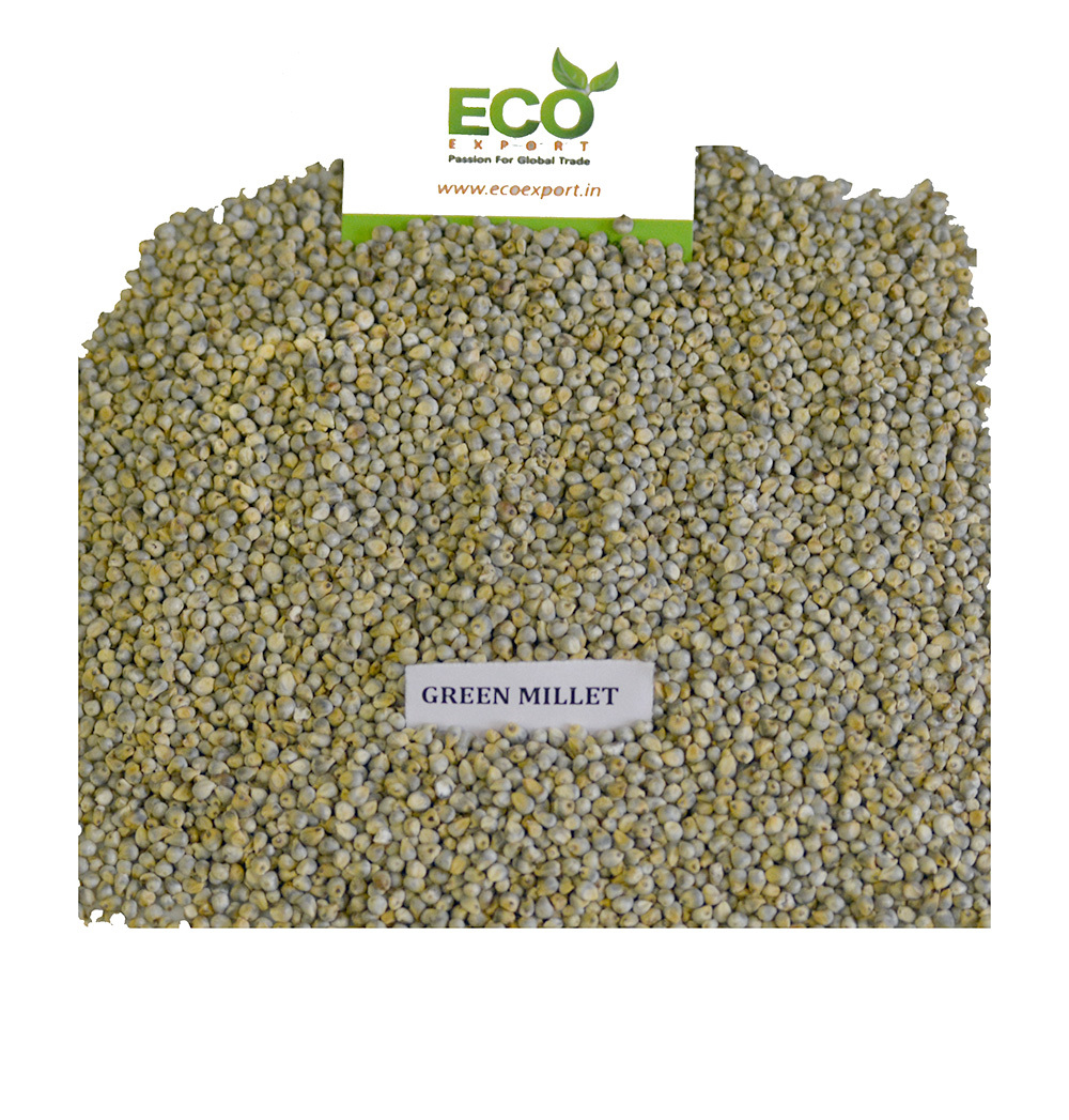Millet - Moisture 12%, Protein 9%, Green Color | High Nutritional Value, Premium Quality For Food And Feed