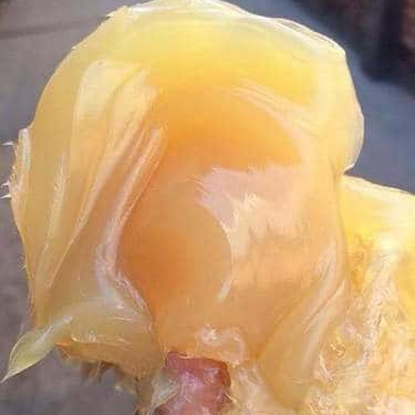 Lithium Grease