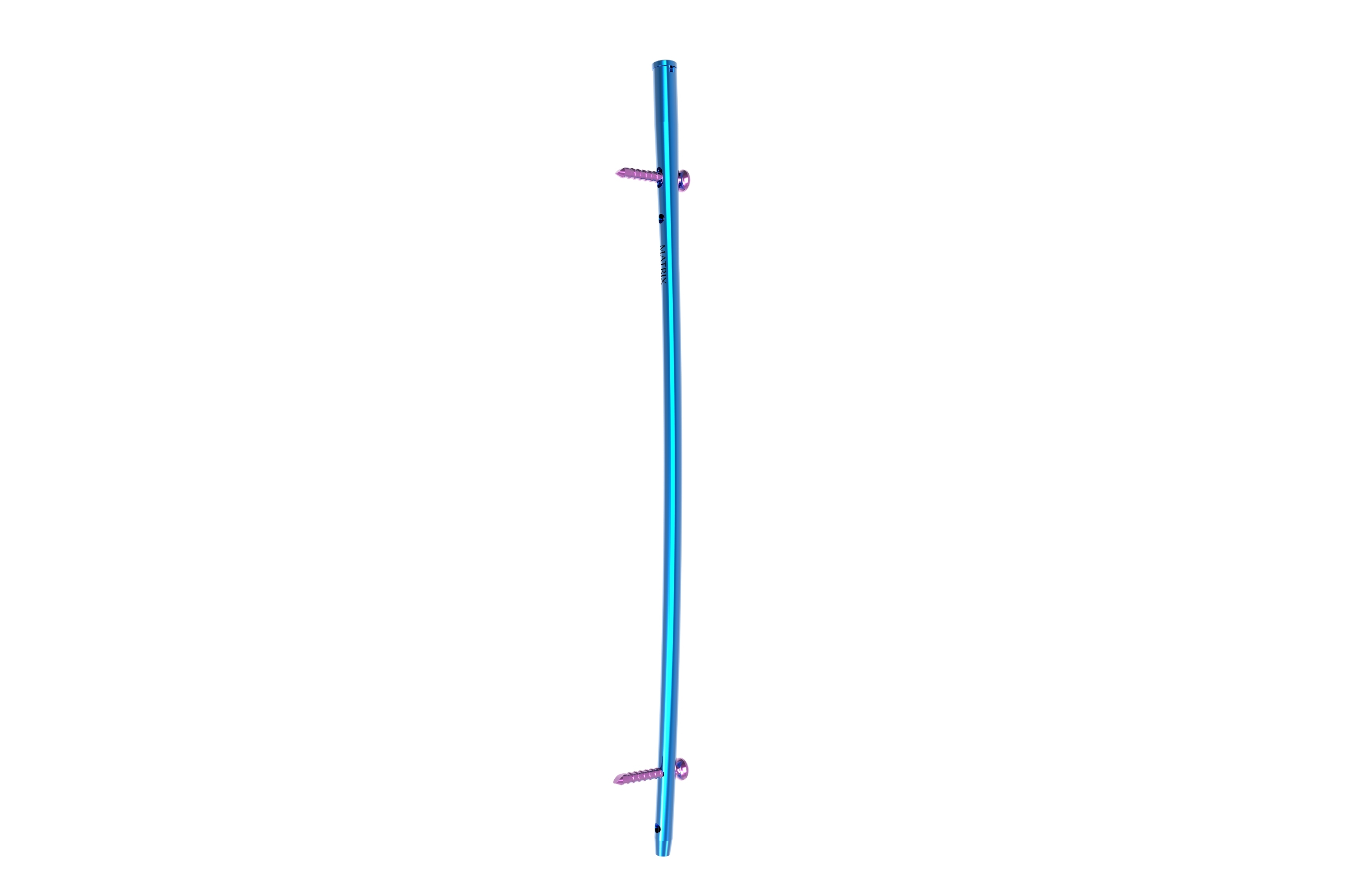 Blue Femur Interlocking Nail