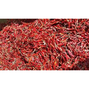334 Dry Red chilli