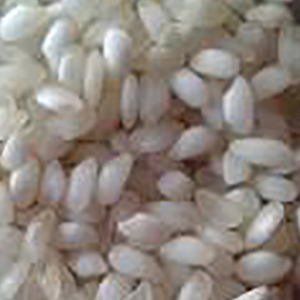 Idly Rice