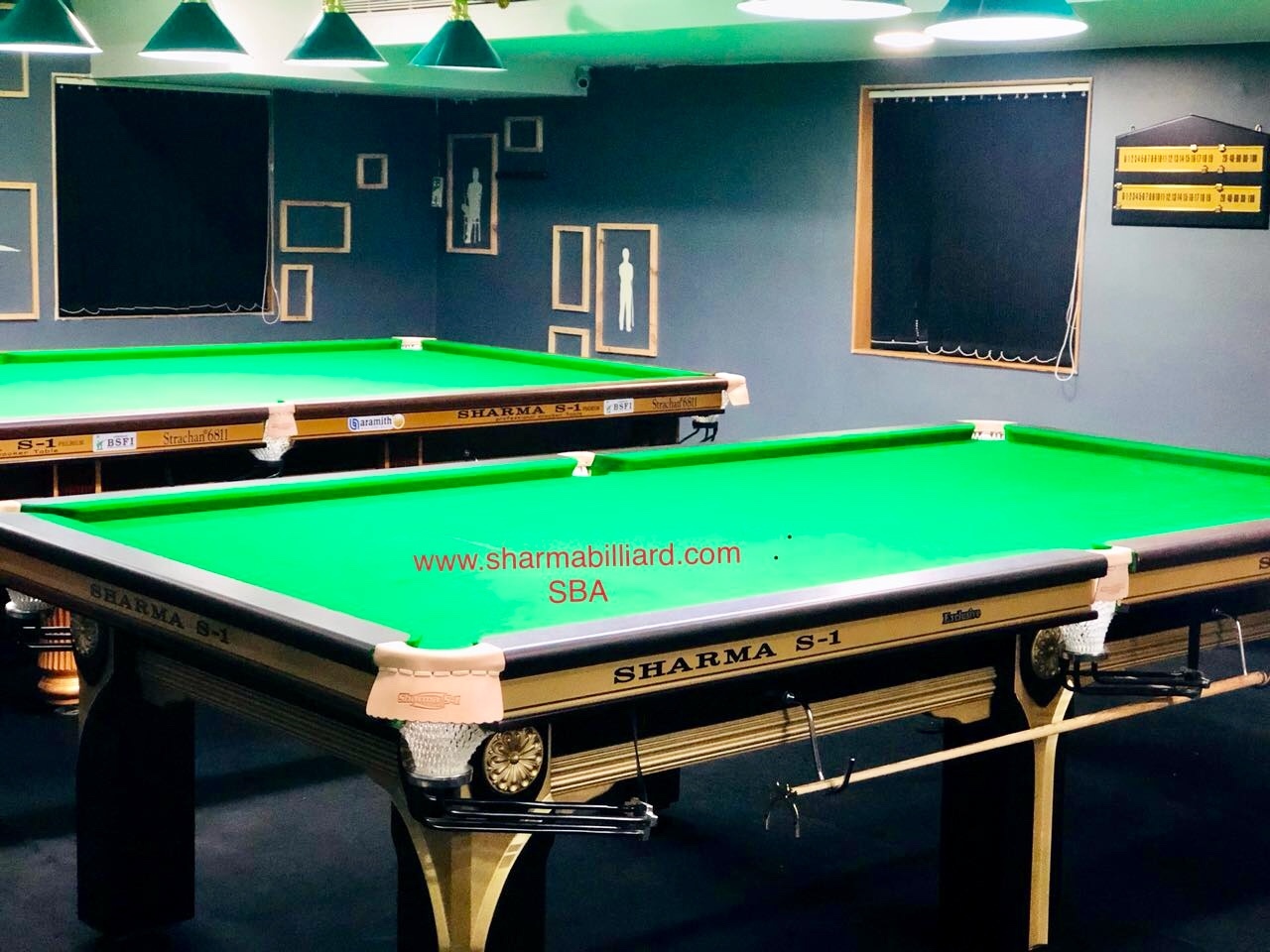 Designer Exclusive Snooker Table