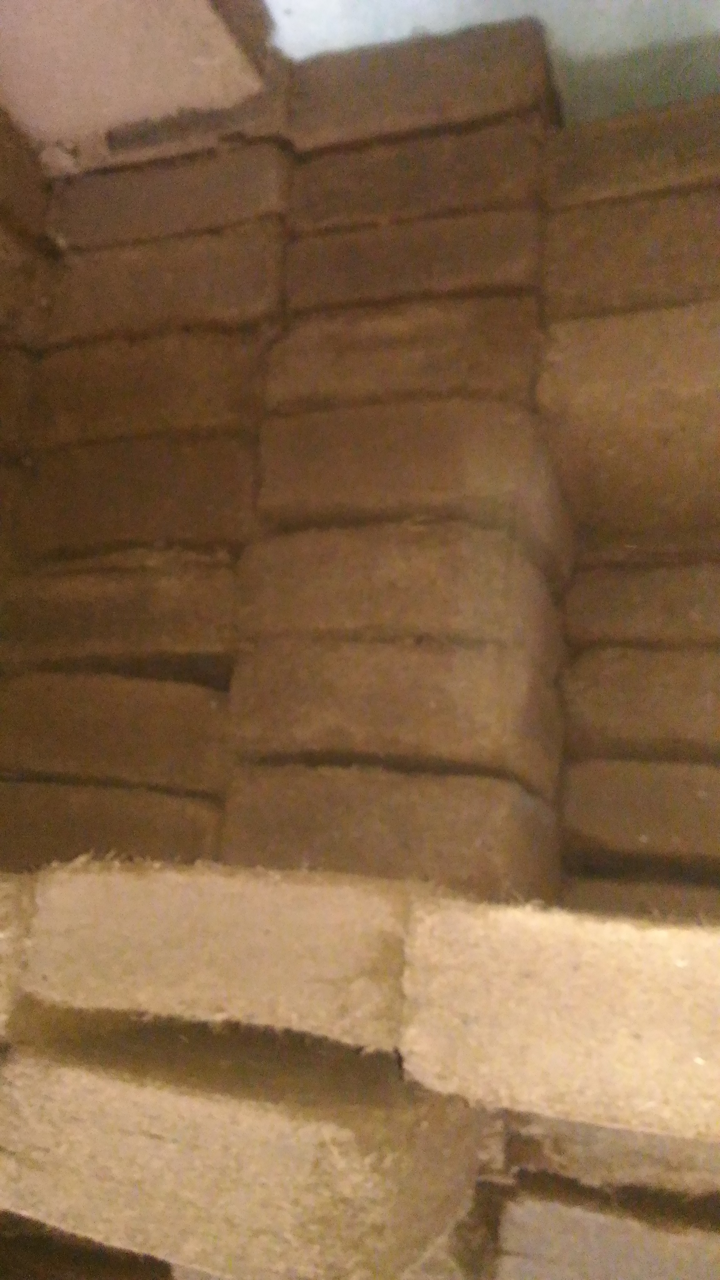 Coco Peat Application: Agriculture