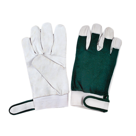 Green Glove