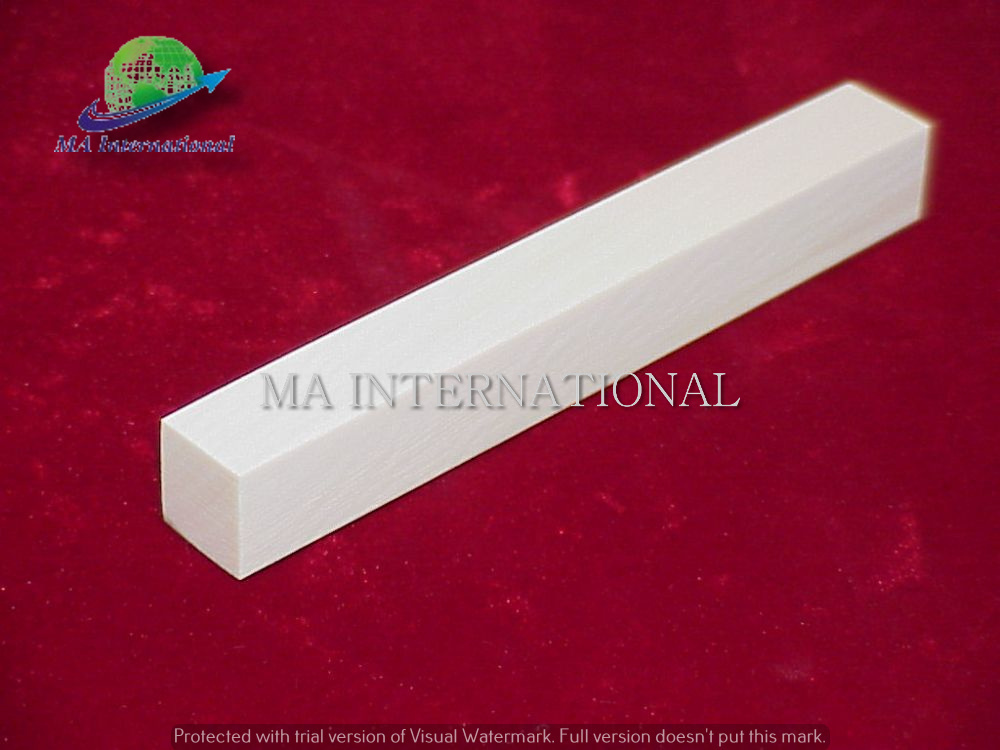 Square Shape Bone Pen Blank