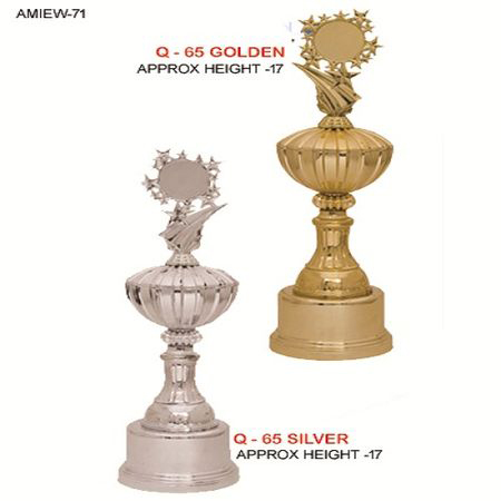 Brown Silver Coated Trophy
