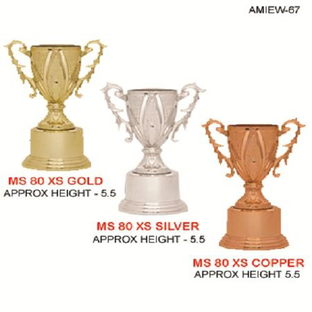 Brown Silver Coated Trophy