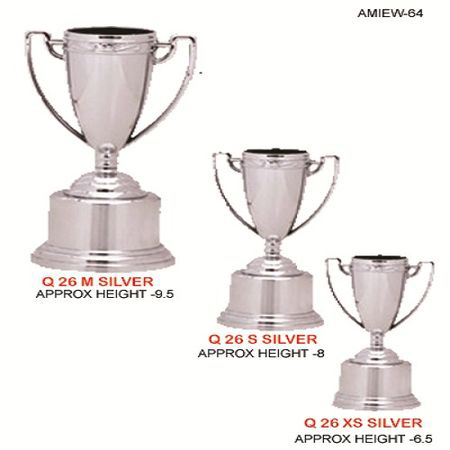 Brown Silver Coated Trophy