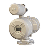 स्थानीय और रिमोट रीडआउट के साथ सर्वो लेवल गेज