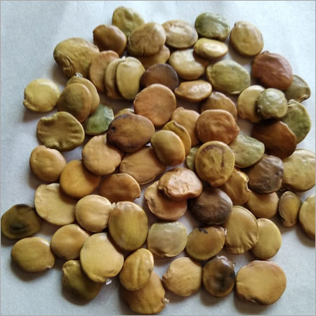 Organic Gliricidia Seed