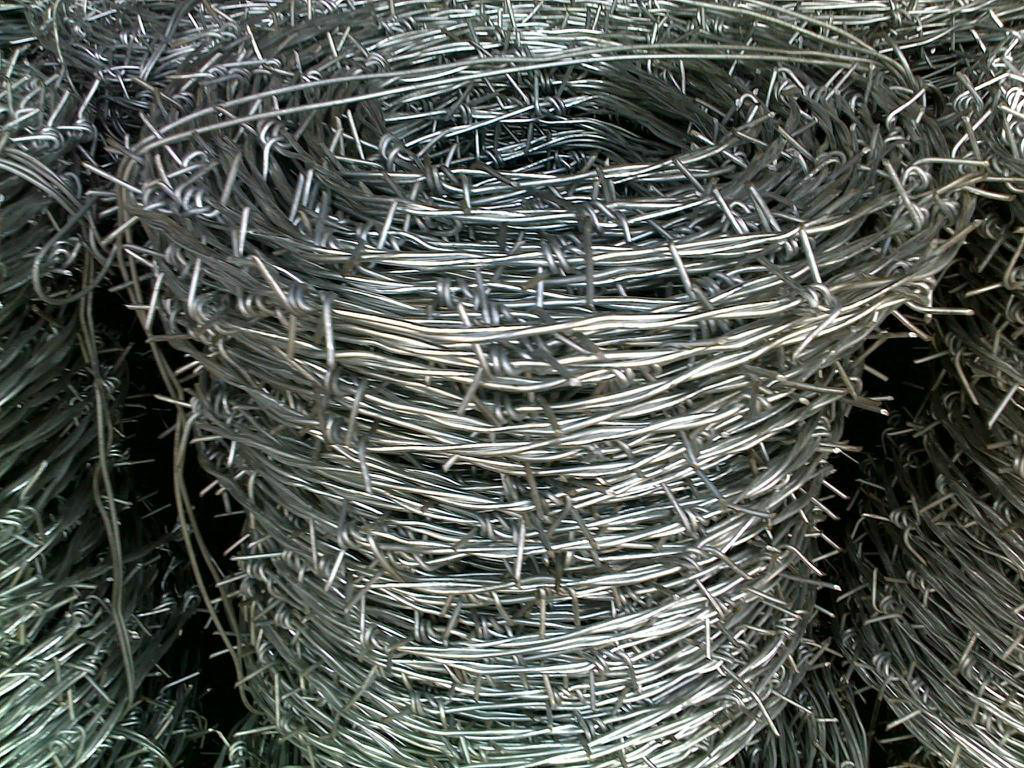 Galvanized Barbed Iron Wire - Q195 Material, Barb Length 1.5-3 Cm, Barb Distance 7.5-15 Cm | Electric Galvanized, Hot-dip Zinc Plating, Pvc Coated Options Available