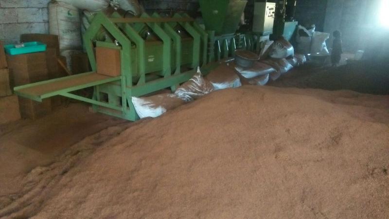 Pure 5kg Coco Peat Bricks