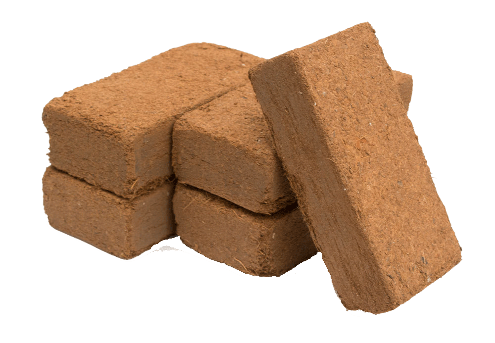 Cocopeat Blocks