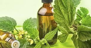 Herbal Ayurvedic Medicine