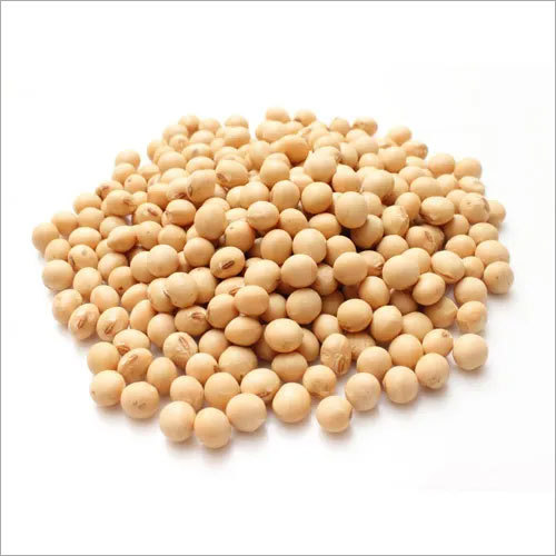 Brown Soybeans