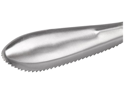 Metal Fish Cleaner