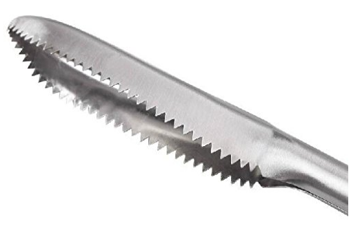 Metal Fish Cleaner