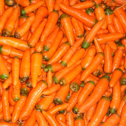 ताजा गाजर