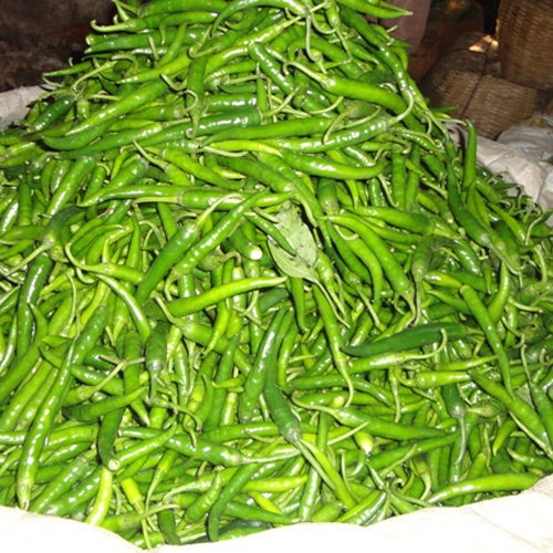 Fresh Green Chilli - Small Elongated Green Peppers | Antioxidant-Rich, Blood Purifying, Skin Nourishing, Immune Boosting, Fat Burning