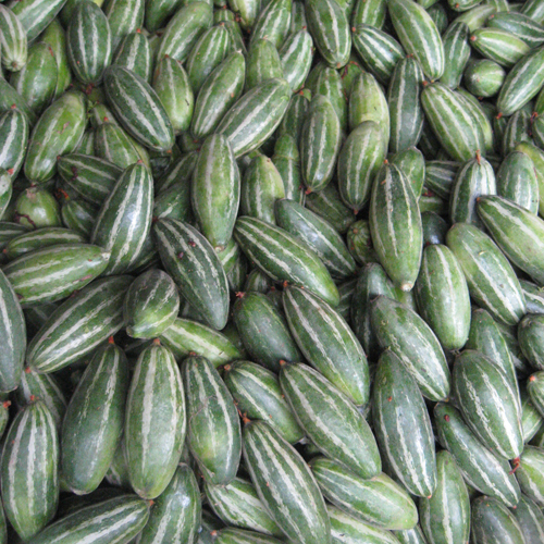 Fresh Pointed Gourd - 50 Grams, 3 - 4 Inch Long Size, Green Color | Open Air Cultivated, Sunlight Dried, Whole Dried Vegetable