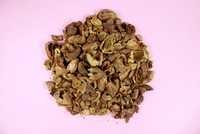 बीज रहित टर्मिनेलिया चेबुला