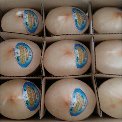 Aromatic Fresh Young Coconut