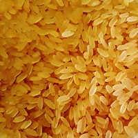 स्वर्ण चावल