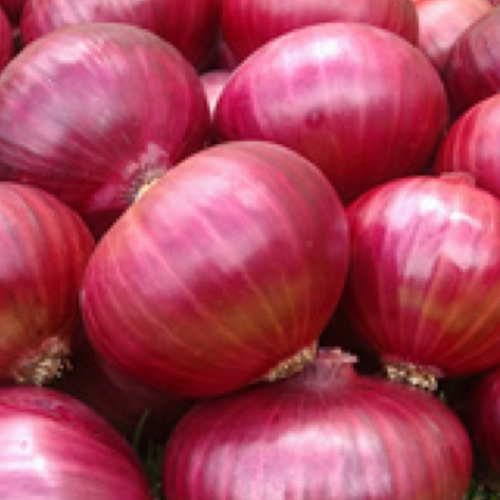 Fresh Red Onion - Organic, Non-gluing, Raw, Crisp Texture | Sweet & Tangy Flavor, Ideal For Salads And Cooking