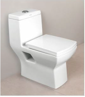 Concealed Tank One Piece Toilet - 6001