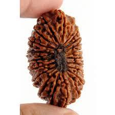 Rudraksha Grade: Good Quality