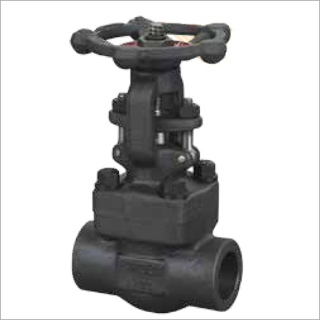 जाली स्टील गेट वाल्व