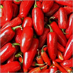 लाल मिर्च