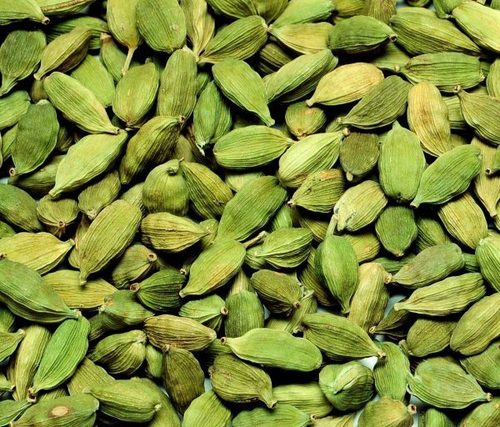 बड़ा इलायची