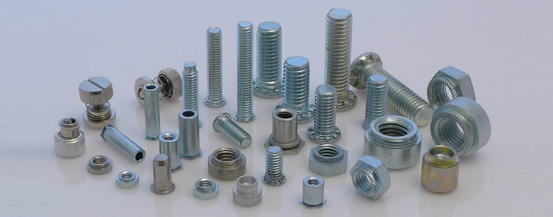 Ss Nut Bolt