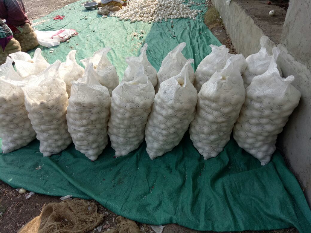 Fresh White Onion - Raw, Whole, 25-80 Mm Sizes | A-grade Quality, Sweet Flavor, Standard Packing For Global Supply