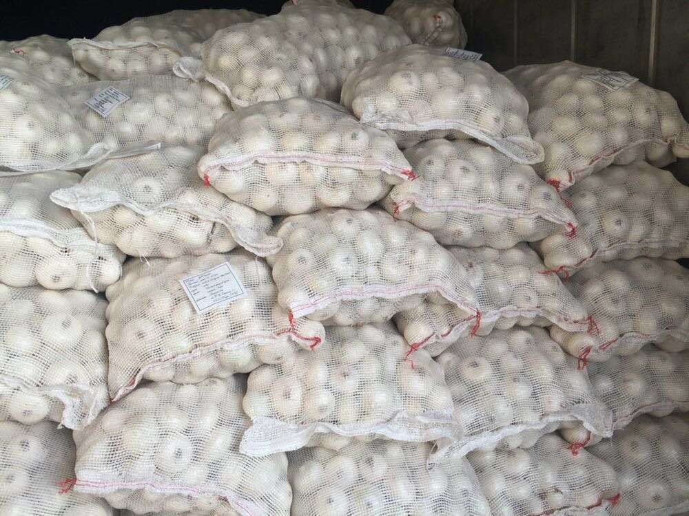 Fresh White Onion - Raw, Whole, 25-80 Mm Sizes | A-grade Quality, Sweet Flavor, Standard Packing For Global Supply