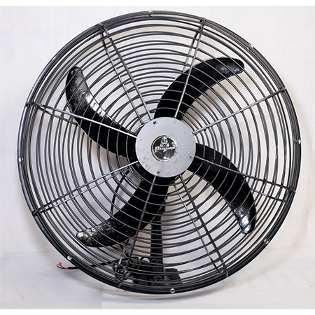 24 हैवी ड्यूटी वॉल फैन
