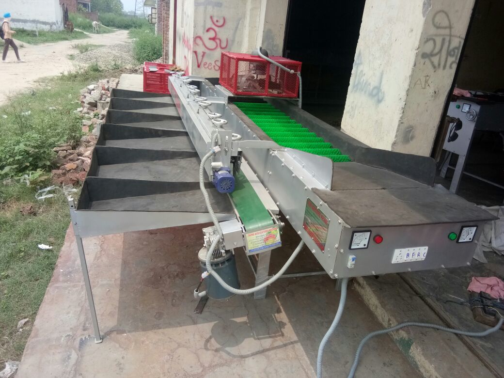 एप्पल सॉर्टिंग मशीन
