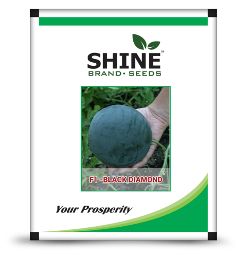 F1 Black Diamond Water Melon Seed Purity: 99%