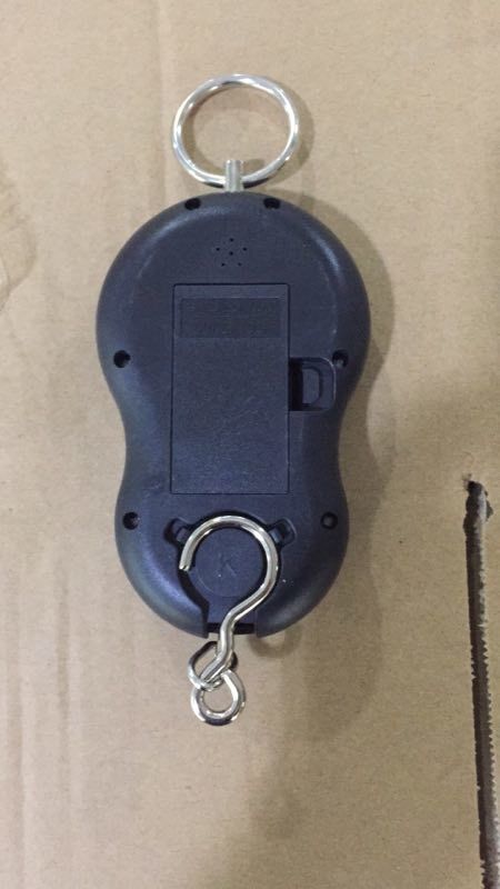 Portable Electronic Scale Accuracy: 10 Gm Mm