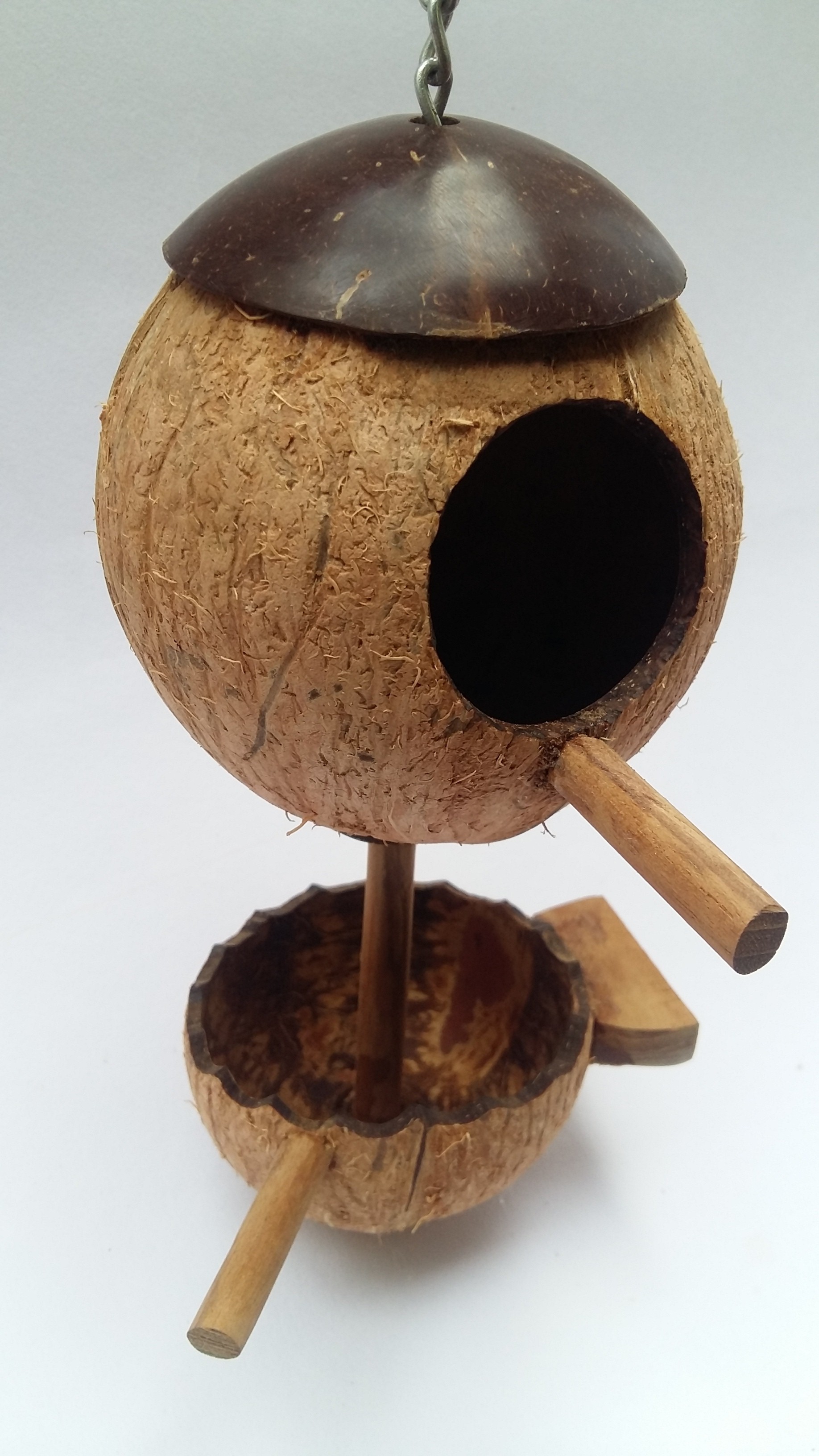 Coconut Shell Pet / Bird House With Feeder