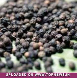 Indian Spices