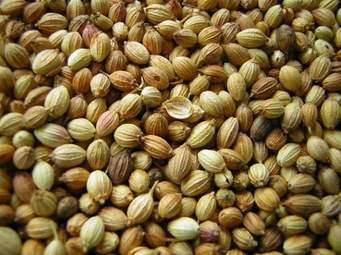 Indian Spices