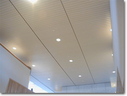 Ceiling Panels