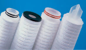 Pleated Cartridge Application: Pharma