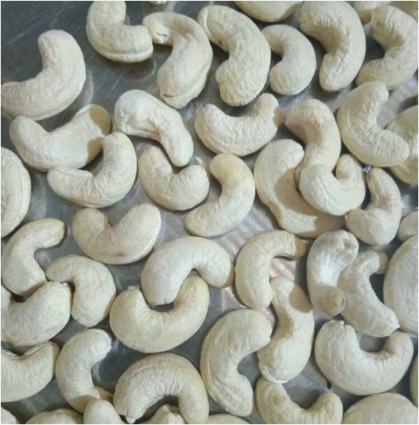 Cashew Nut