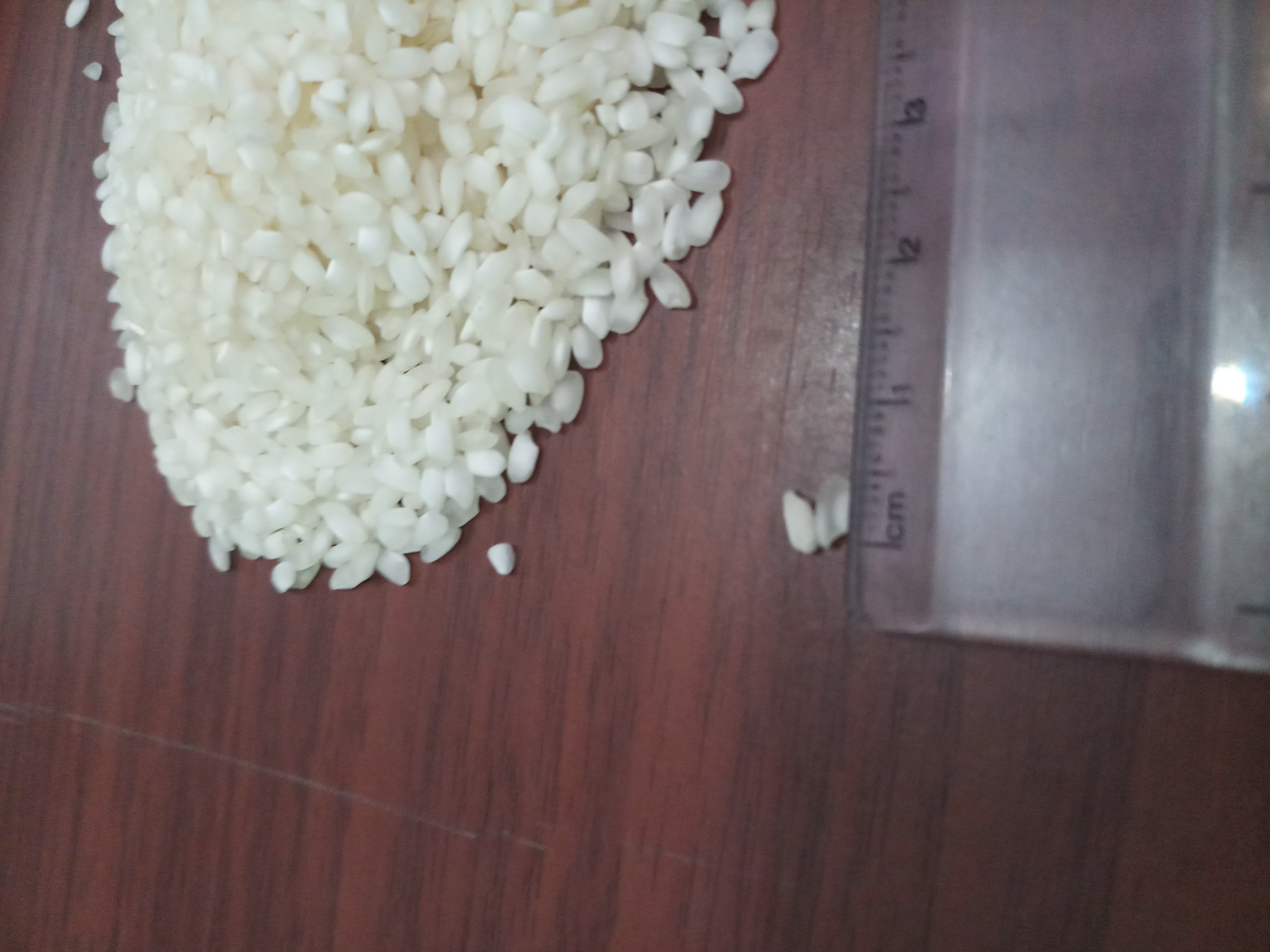 Idli Rice - Short Grain White Rice | 99% Purity, Dried, 1% Admixture, 5% Broken, 12% Moisture