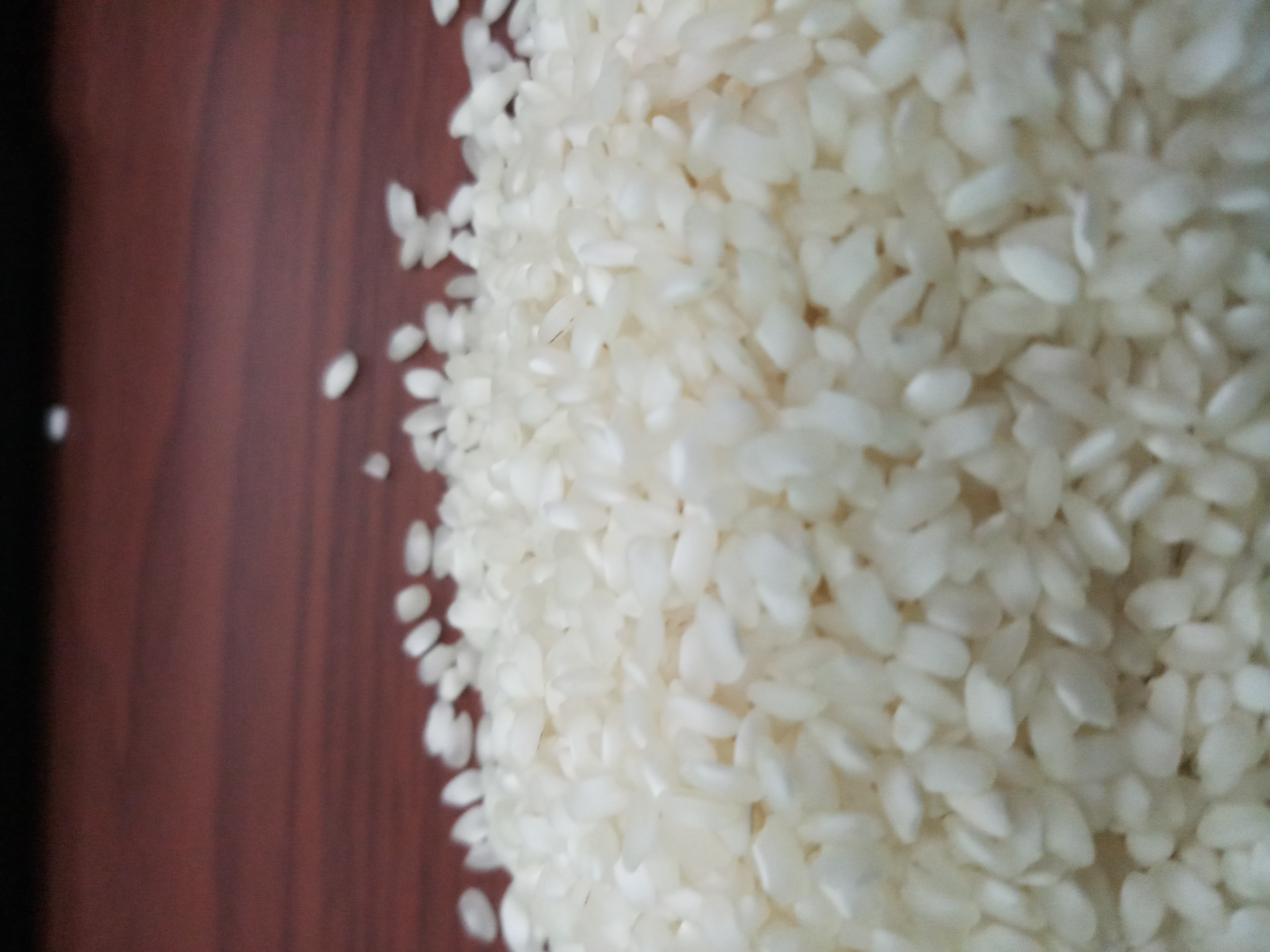 Idli Rice - Short Grain White Rice | 99% Purity, Dried, 1% Admixture, 5% Broken, 12% Moisture
