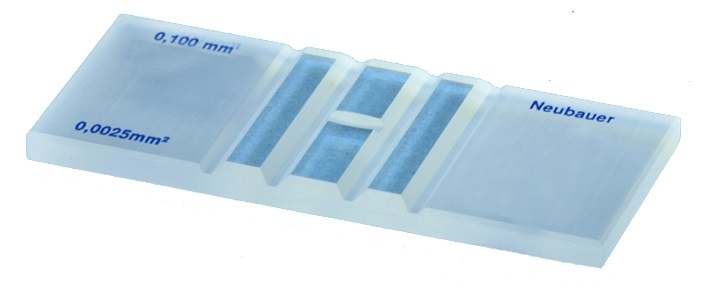 Glass Haemocytometer