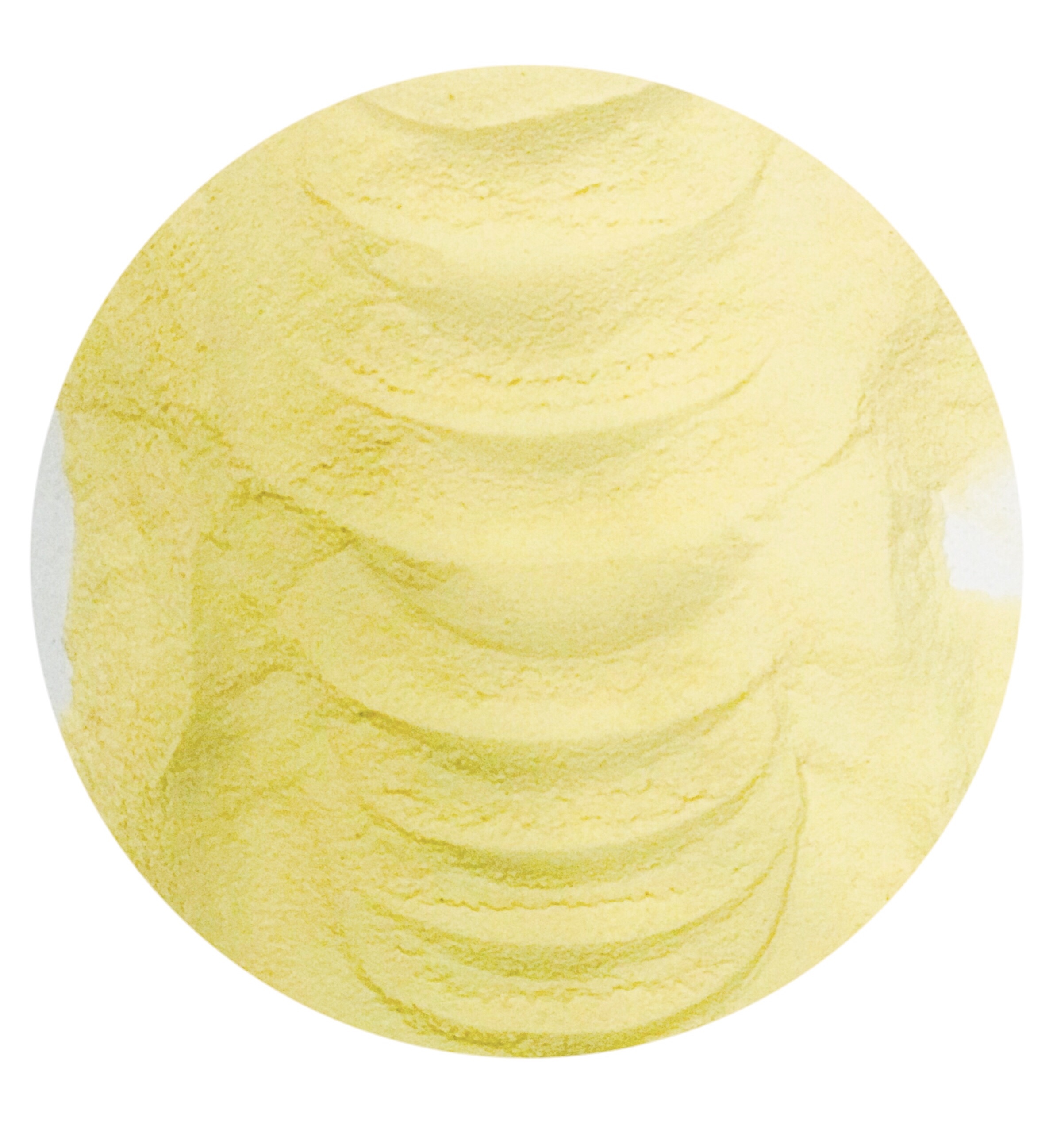 Rice Protein Concentrate 80%